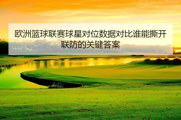 欧洲篮球联赛球星对位数据对比谁能撕开联防的关键答案